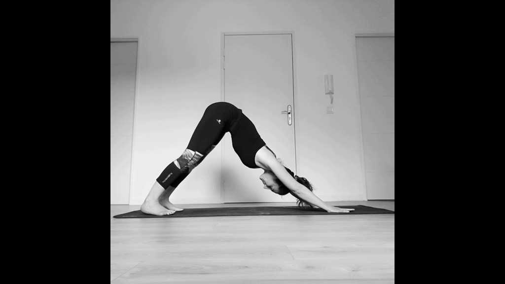 posture cyclistes chien la tete en bas