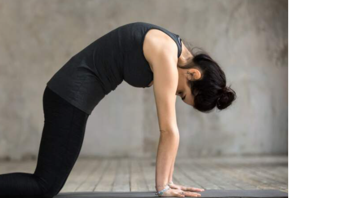 hyperextension recurvatum de coude en quadrupedie posture du chat yoga