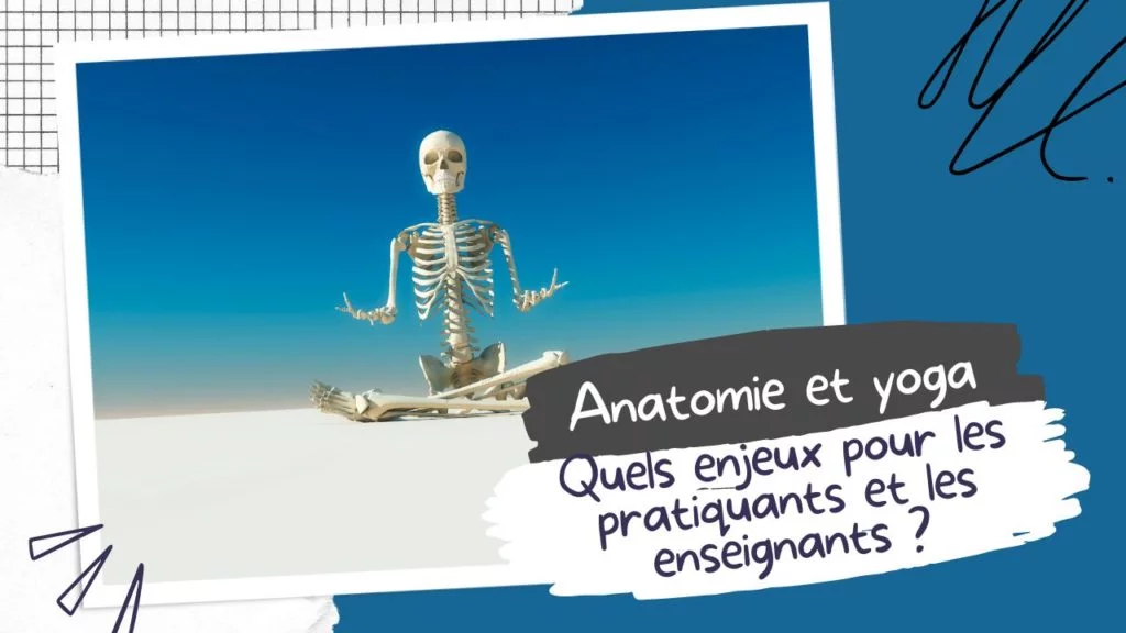 anatomie-et-yoga-enjeux--1024x576