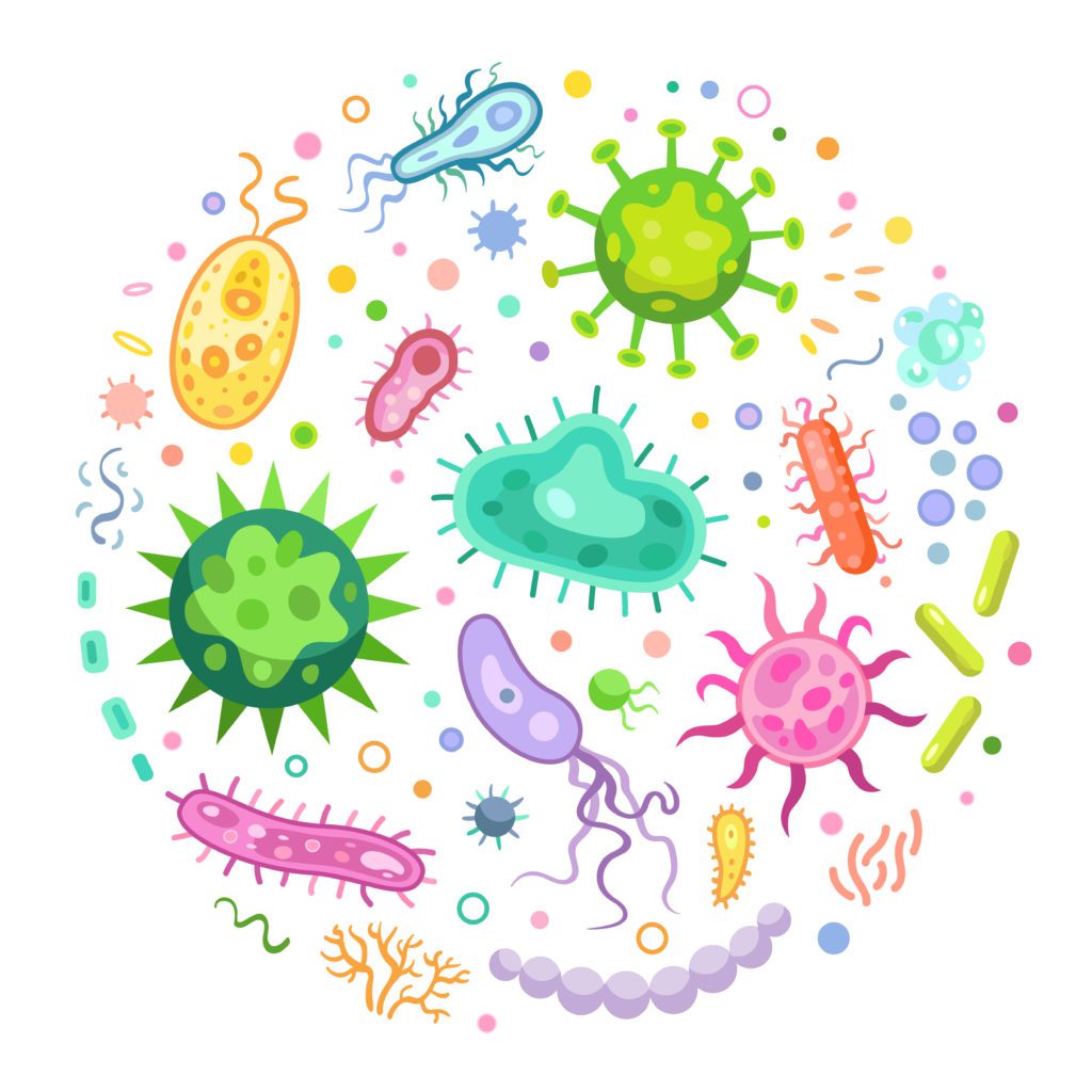 illustration microbiote ensemble de microbes